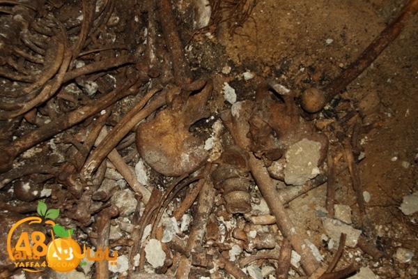 mdafenkazakhana512 (14).jpg.jpg.jpg